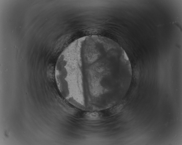 X0000103290181200809261258