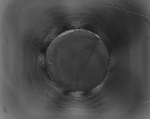 X0000103290182200809261258