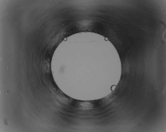 X0000103290183200809261258