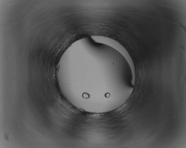 X0000103290184200809261258