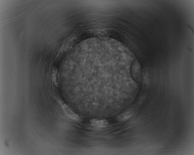 X0000103290185200809261258