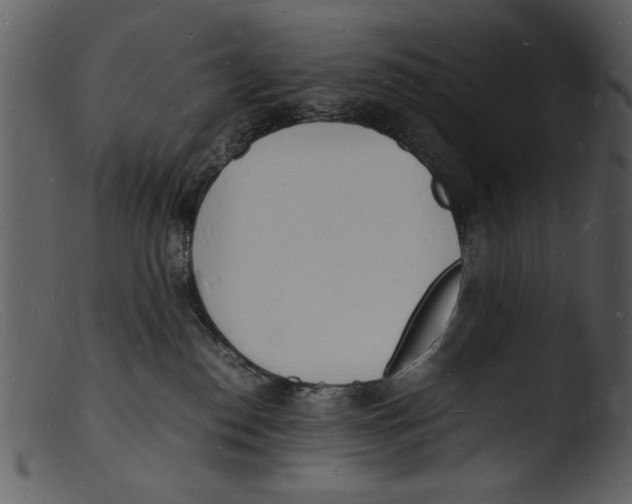 X0000103290186200809261258