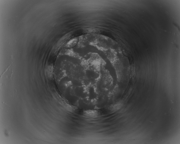 X0000103290189200809261258