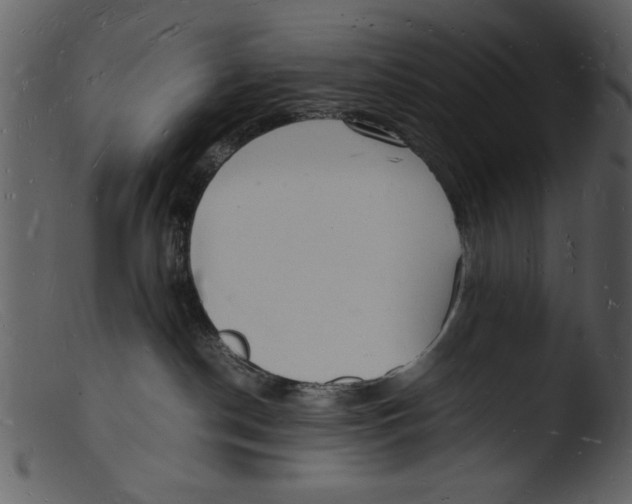 X0000103290190200809261258