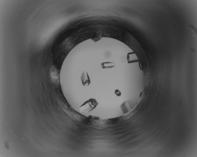 X0000103290191200809261258