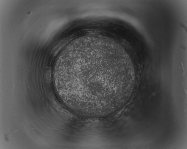 X0000103290194200809261257