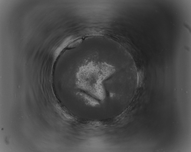 X0000103290195200809261257