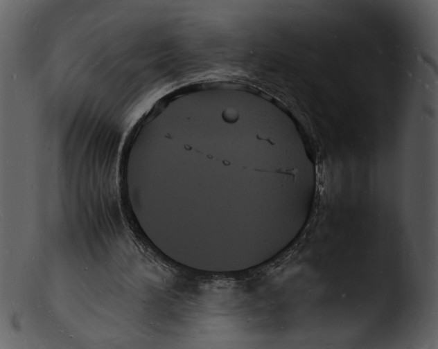 X0000103290196200809261257
