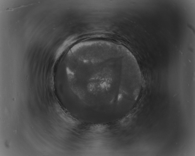 X0000103290198200809261257