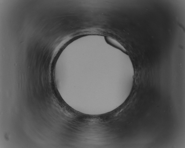 X0000103290200200809261257