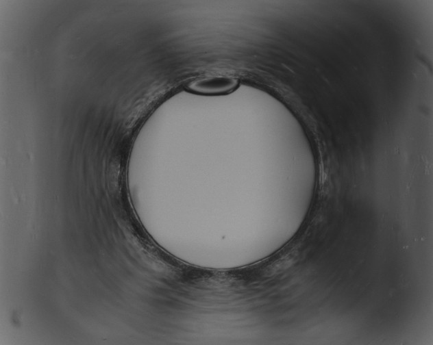 X0000103290201200809261257