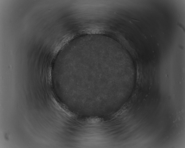 X0000103290202200809261257
