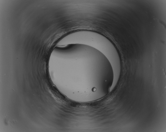 X0000103290205200809261257