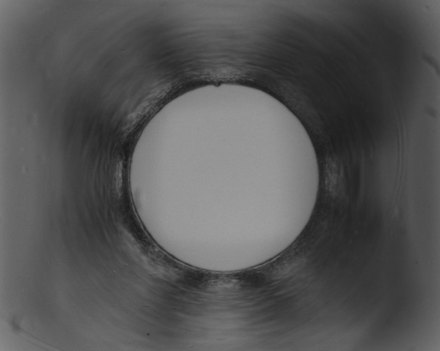 X0000103290206200809261257