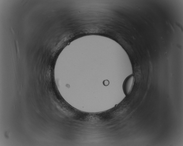 X0000103290207200809261257