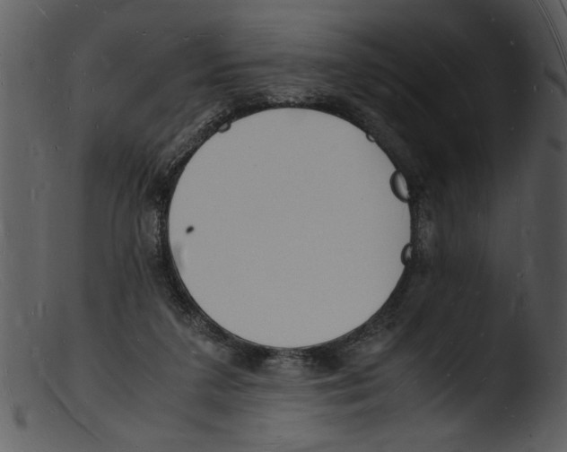 X0000103290211200809261257