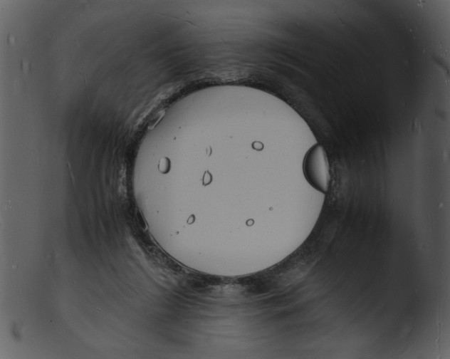 X0000103290212200809261257
