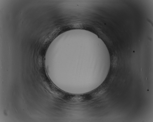X0000103290213200809261257
