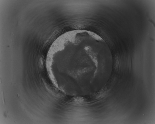 X0000103290214200809261257