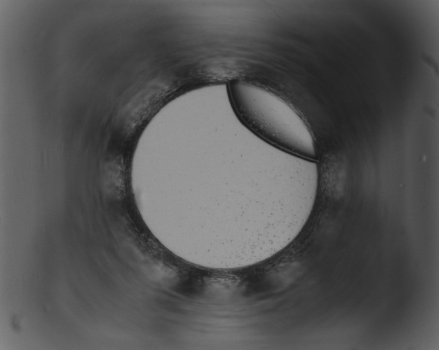 X0000103290215200809261257