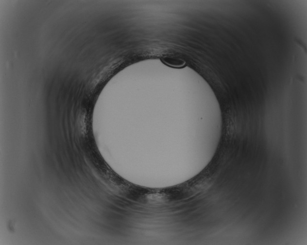 X0000103290216200809261257