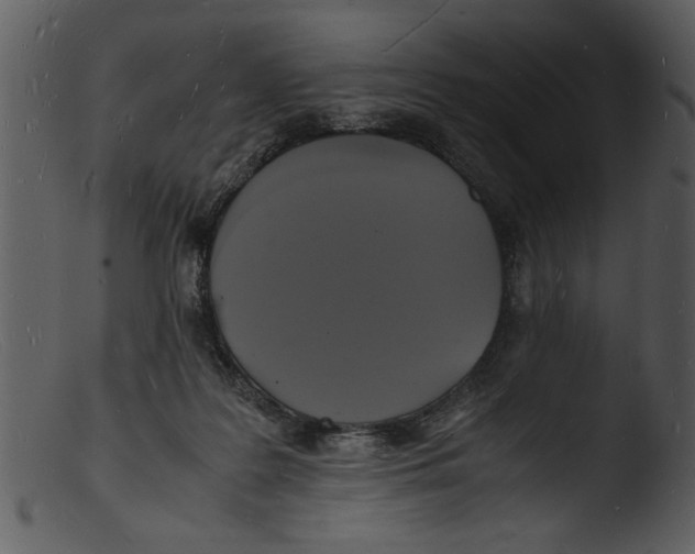 X0000103290219200809261257