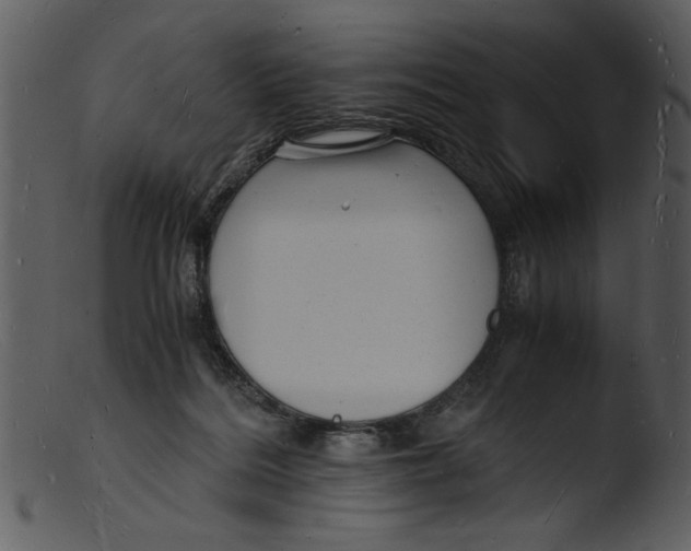 X0000103290220200809261257