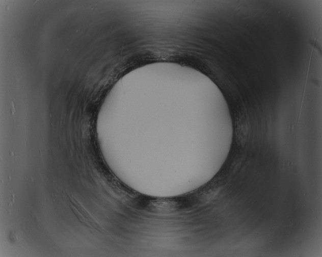 X0000103290221200809261257