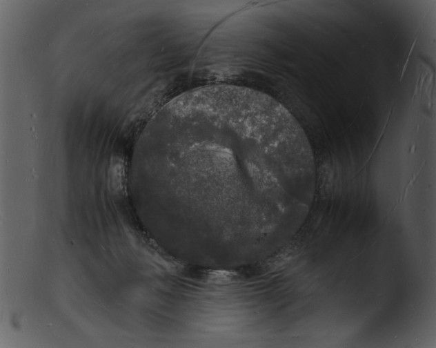 X0000103290222200809261257