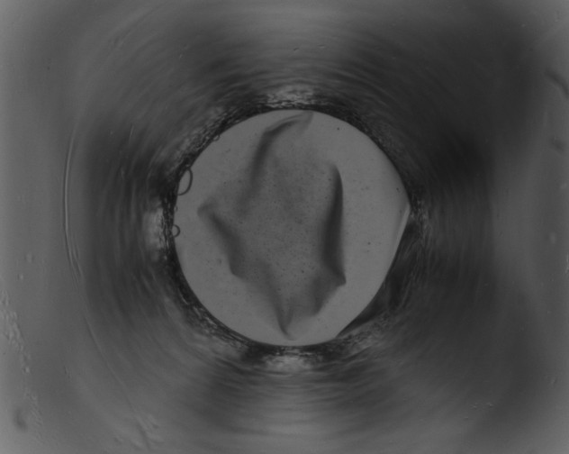 X0000103290224200809261257