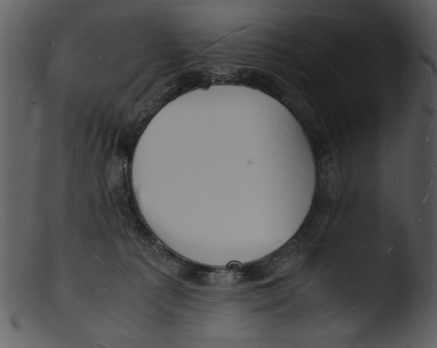 X0000103290225200809261257