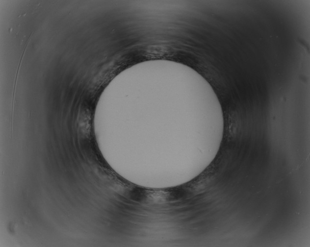 X0000103290226200809261257