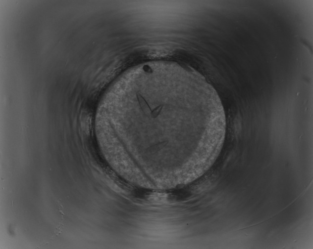 X0000103290227200809261257