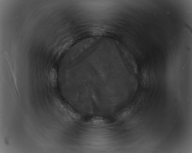 X0000103290228200809261257