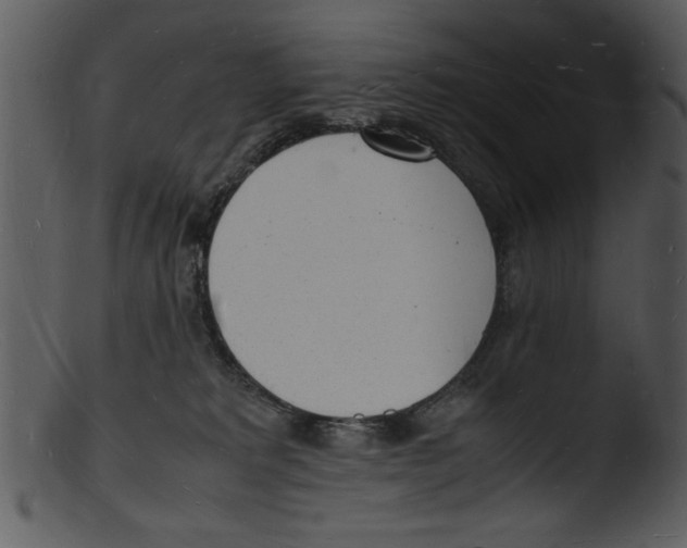 X0000103290229200809261257