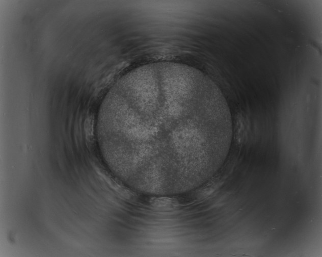 X0000103290230200809261257