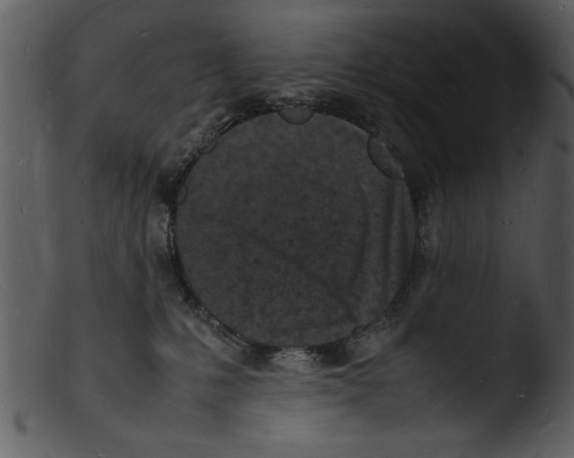 X0000103290231200809261257