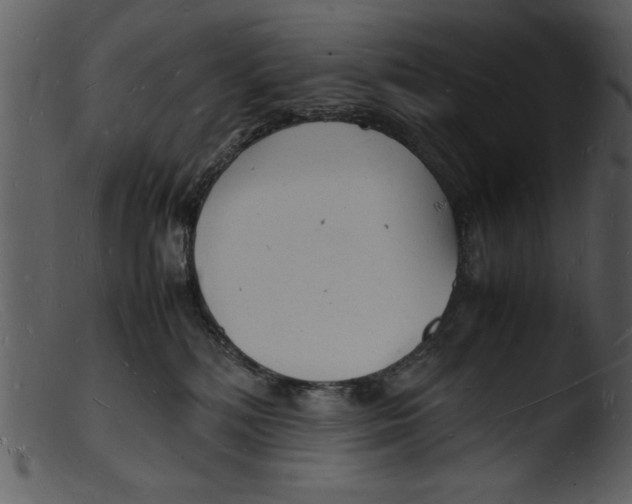 X0000103290232200809261257
