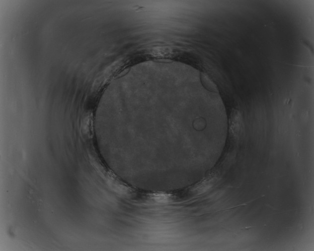 X0000103290233200809261257