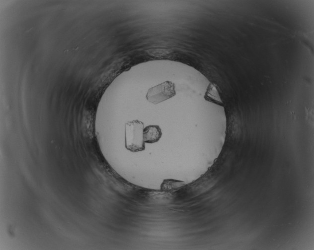 X0000103290234200809261257