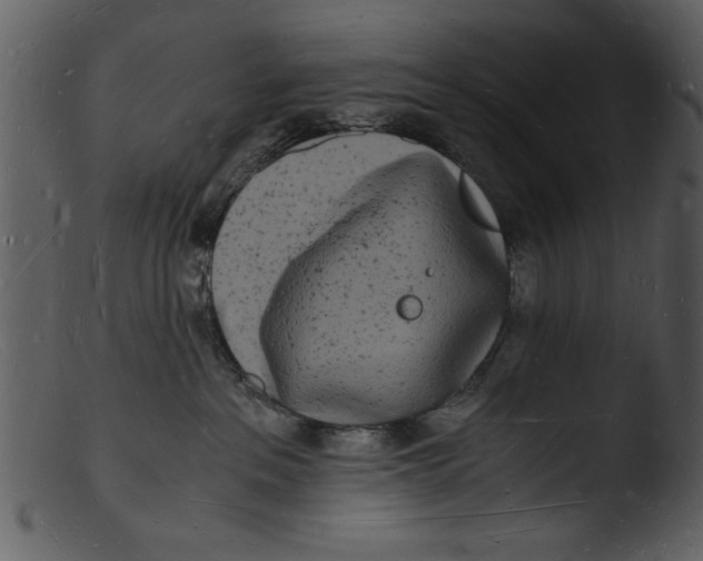 X0000103290237200809261257