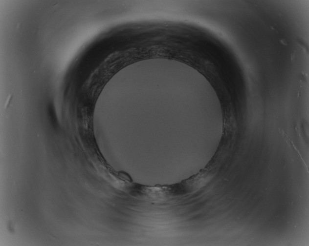 X0000103290239200809261257
