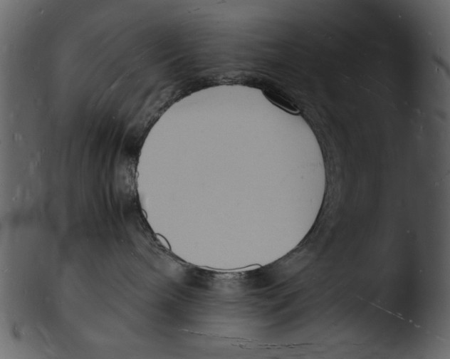 X0000103290240200809261257