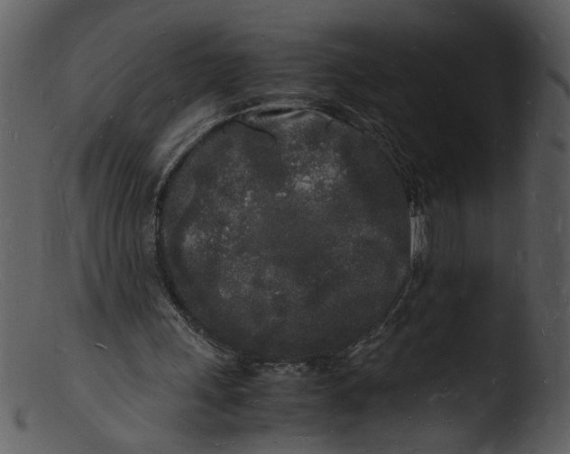 X0000103290243200809261256