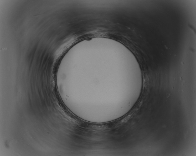 X0000103290245200809261256