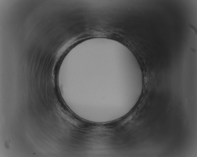 X0000103290246200809261256