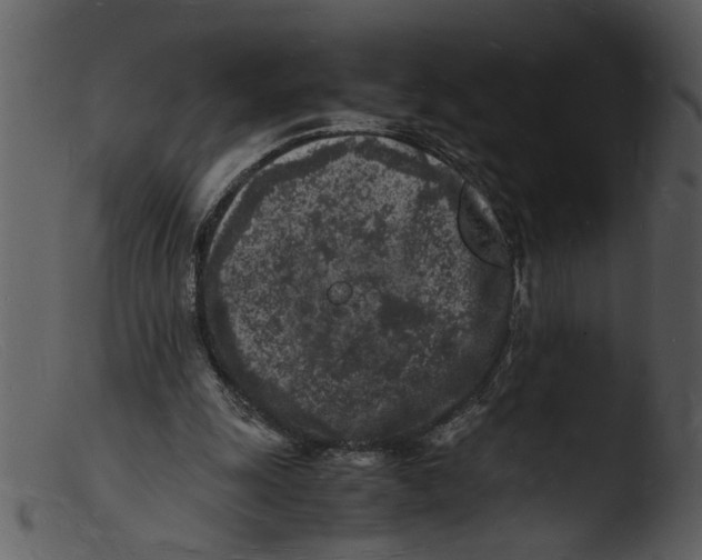 X0000103290247200809261256