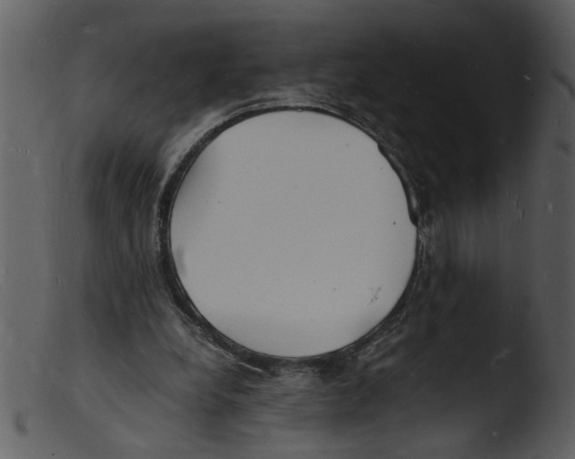 X0000103290248200809261256