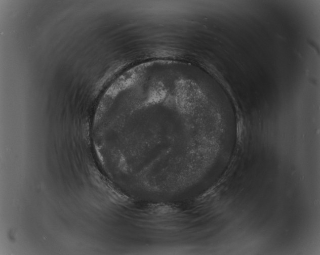 X0000103290249200809261256