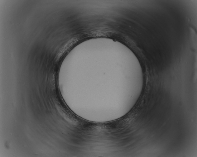 X0000103290250200809261256